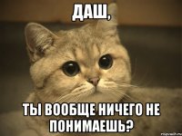 Даш, Ты вообще ничего не понимаешь?