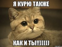 я курю также как и ты!!)))))