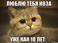 Люблю тебя коза уже как 10 лет:*