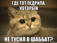 Где тот педрила, который не тусил в шаббат?