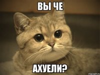 Вы че ахуели?