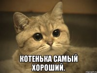  котенька самый хороший.