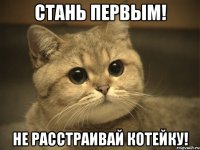 стань первым! Не расстраивай котейку!