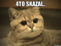 4to skazal.. 