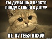 Ты думаешь я просто пойду с тобой в доту? Не, ну тебя нахуй