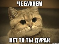 Че бухнем Нет то ты дурак