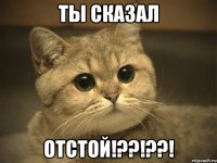 ты сказал ОТСТОЙ!??!??!