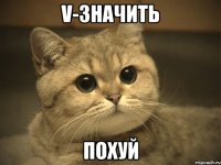 v-значить похуй