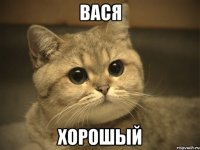 Вася хорошый