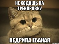 не ходишь на тренировку педрила ебаная