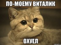 По-моему Виталик Охуел