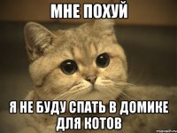 Мне похуй Я не буду спать в домике для котов