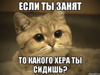 если ты занят то какого хера ты сидишь?