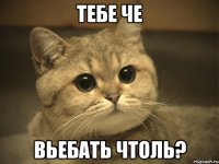 Тебе че Вьебать чтоль?