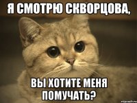 Я смотрю Скворцова, вы хотите меня помучать?