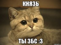 Князь ты ЗБС :3