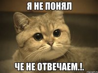 Я не понял че не отвечаем.!.