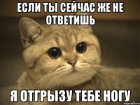 если ты сейчас же не ответишь я отгрызу тебе ногу