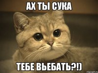 ах ты сука тебе вьебать?!)