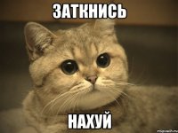 Заткнись нахуй