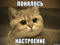 Понялось Настроение