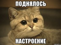 Поднялось Настроение