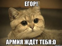 Егор! Армия ждёт тебя:D