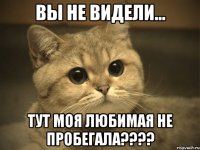 вы не видели... тут моя любимая не пробегала????