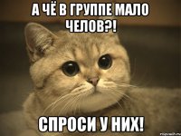 А чё в группе мало челов?! Спроси у них!