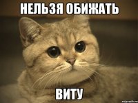 НЕЛЬЗЯ ОБИЖАТЬ ВИТУ