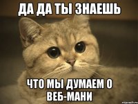 Да да ты знаешь Что мы думаем о Веб-мани