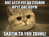 вас беся когда собаки жрут вас корм skatin to you zdohli