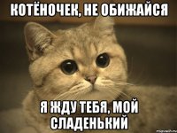 Котёночек, не обижайся Я жду Тебя, Мой Сладенький