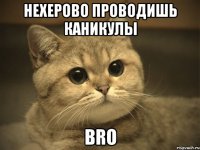 Нехерово проводишь каникулы bro