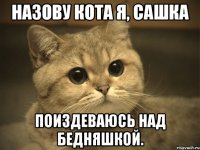 Назову кота я, Сашка Поиздеваюсь над бедняшкой.