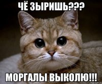 Чё зыришь??? Моргалы выколю!!!