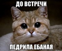 До встречи Педрила ебаная