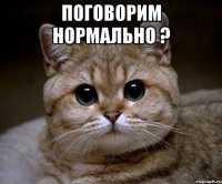 поговорим нормально ? 