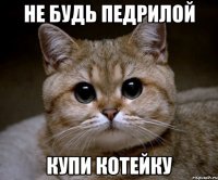 не будь педрилой купи котейку