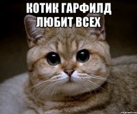 Котик Гарфилд любит всех 