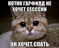 Котик Гарфилд не хочет сесссии он хочет спать