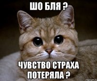 Шо бля ? Чувство страха потеряла ?