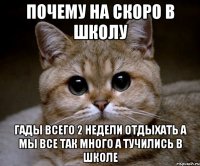 почему на скоро в школу гады всего 2 недели отдыхать а мы все так много а тучились в школе