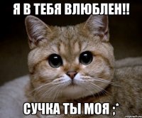 Я в тебя влюблен!! Сучка ты моя ;*