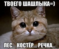 Твоего шашлыка=) Лес... Костёр... Речка...