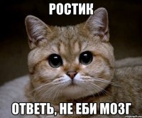 Ростик Ответь, не еби мозг