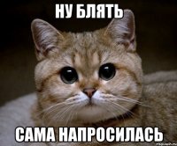 ну блять сама напросилась