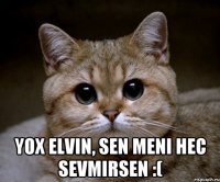  yox Elvin, sen meni hec sevmirsen :(