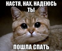 Настя, нах, надеюсь ты пошла спать