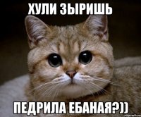 хули зыришь педрила ебаная?))